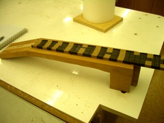 Neck and Fretboard