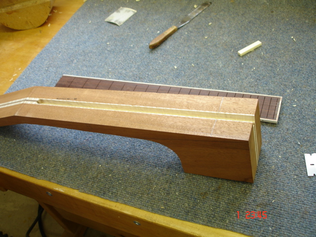 Neck and Fretboard