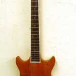 Workingman's Guitar