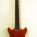 Workingman's Guitar