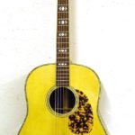 Adirondack Red Spruce top Red Spruce top. Mother of Pearl inlays around the top and soundhole. Old, gibson style Advance Dreadnaught fingerboard inlays.