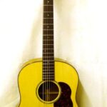 Red Spruce top