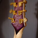 Back of Headstock