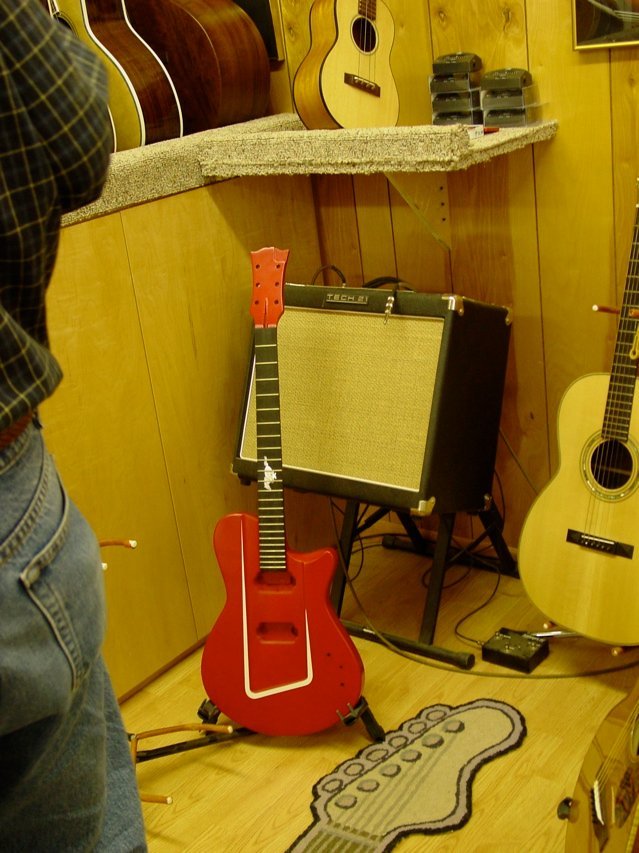 An electric in the rough!