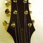 Headstock & Truss rod cover