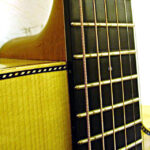 Fretboard and frets