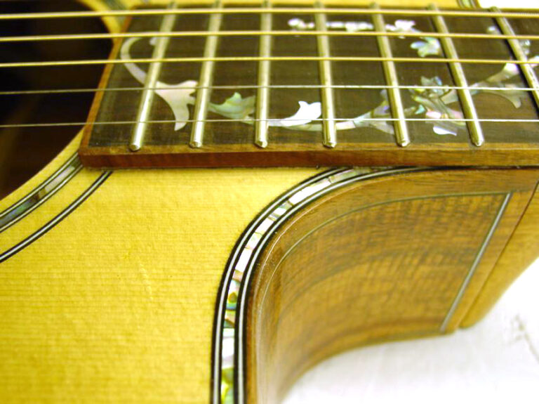 Fretboard and cutaway