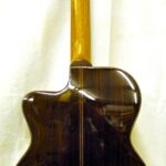 Indian Rosewood back