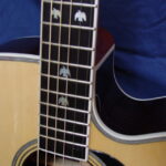 Fretboard bird inlays