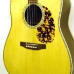 The body Compensated bridge saddle for great intonation. See through tortoise-like pickguard.