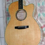 Bearclawed Spruce Top