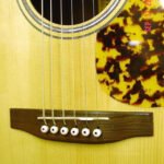 The bridge area The compensated bridge saddle and white with black inlay bridge pins.