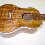 Top of Uke