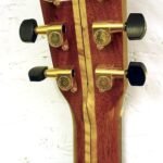 Back of Headstock | This is a good view of the 5 ply neck.