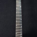 Closeup of Fretboard (Multi-Scale)