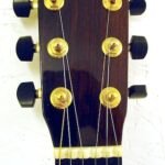 Headstock | The Indian Rosewood headstock and the scalloped bone nut.